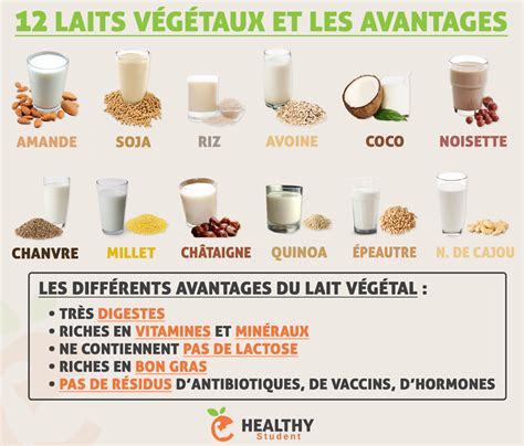 12 laits végétaux et leurs avantages | Lait végétal, Boissons saines ...