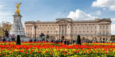 CTA members attend Buckingham Palace Garden Party - Community Transport ...