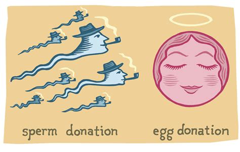 Sperm donors and egg donors | Findings | Yale Alumni Magazine