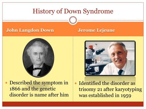 PPT - Down Syndrome PowerPoint Presentation, free download - ID:2171604