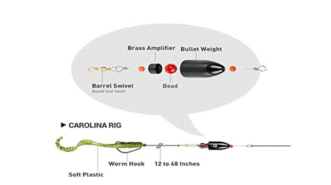 Carolina Rig For Bass Secrets: Unleashed Big Bass With Ease!