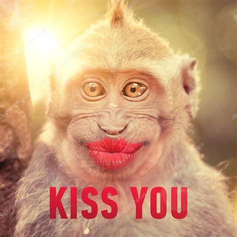 Monkey With Big Lips Meme - Infoupdate.org