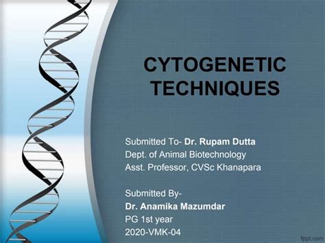 Cytogenetic techniques | PPT