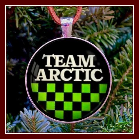 Vintage Arctic Cat Snowmobile Team Arctic Emblem Photo decal | Etsy