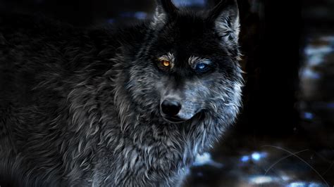 3840x2160 Wolf Heterochromia Fantasy 4k HD 4k Wallpapers, Images, Backgrounds, Photos and Pictures