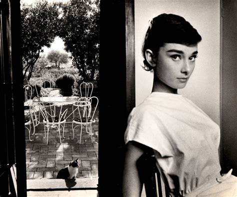 Audrey Hepburn (with cat) - Holden Luntz Gallery