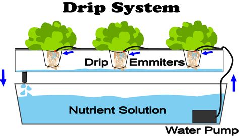 What Is Drip Hydroponics? - NoSoilSolutions