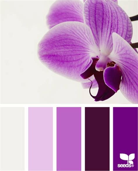 color pallets | Colores pantone, Semillas diseño, Rueda de colores