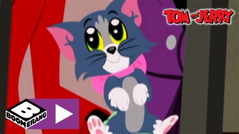 Tom & Jerry | Black Cat | Boomerang UK - YouTube