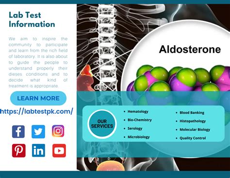 Aldosterone Blood Test