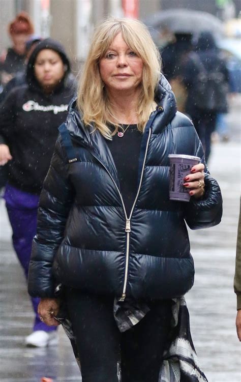 GOLDIE HAWN Out and About in New York 02/17/2023 – HawtCelebs