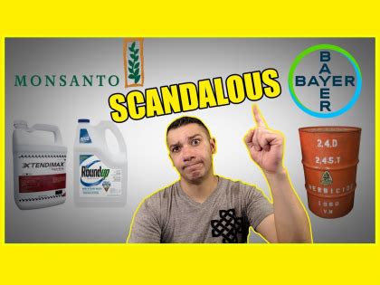 The Monsanto Scandals Continue | We Are Change