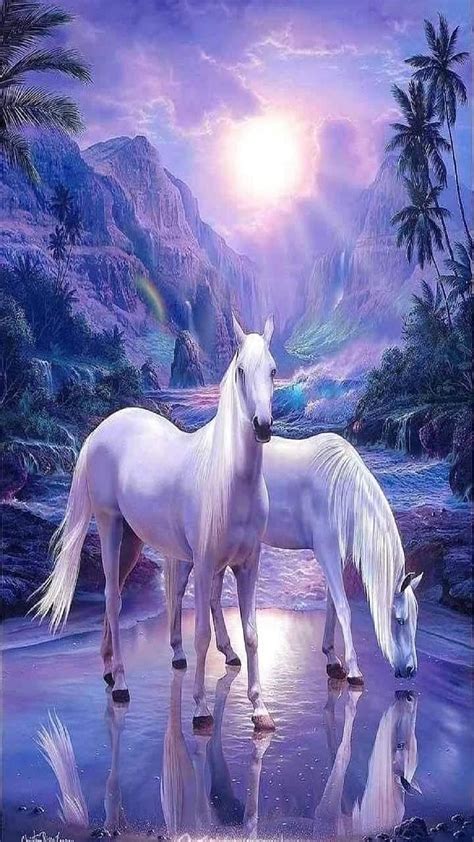 7 White Horse, beautiful horse, horse, beautiful, HD phone wallpaper ...