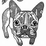 Boston Terrier Keychain Coloring Page · Creative Fabrica sketch template