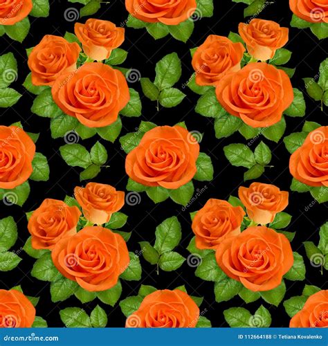 Seamless Background with Orange Roses on Black Background Stock Photo ...