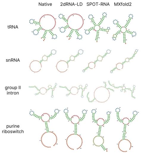 Molecules | Free Full-Text | Length-Dependent Deep Learning Model for ...