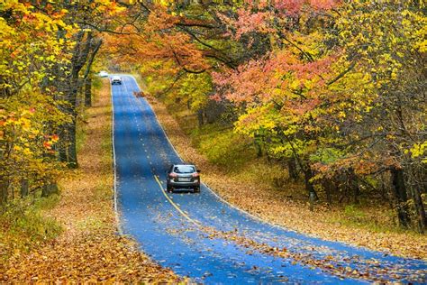 11 Places to Find the Prettiest Fall Foliage in Virginia