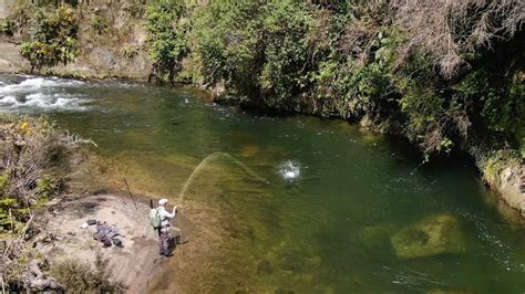 Fly Fishing THE BEST Trout River i have ever Seen! - YouTube