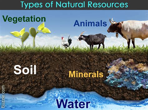 The Different Types of Natural Resources You Ought to Know