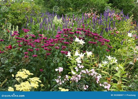 Floral Border In An English Garden. Royalty Free Stock Photography - Image: 35308007