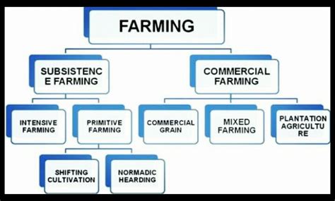 Explain the types of agriculture with the help of a flow chart - Social ...