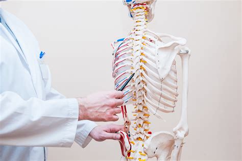 What Is a Spinal Adjustment? What to Expect from Your Chiropractor