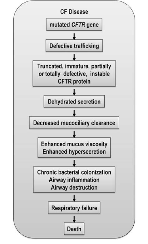 Pathophysiology Of Cystic Fibrosis