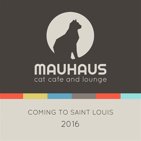 Mauhaus cat cafe location revealed | 40 South News