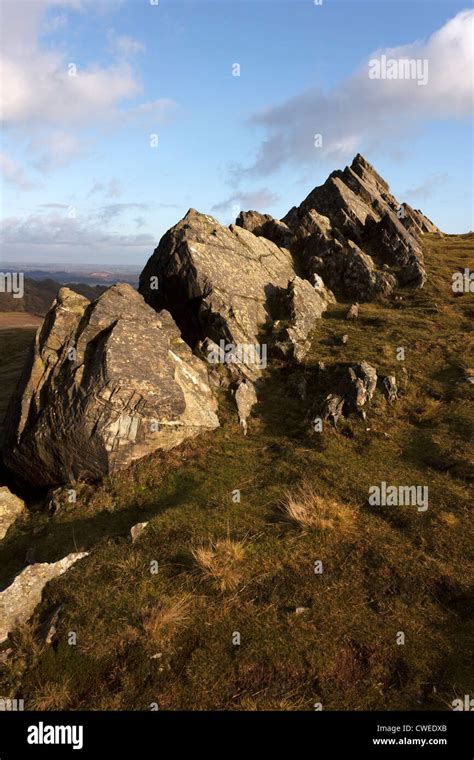 Outcrop of reputedly the oldest (precambrian) rocks in Britain, Bradgate Park hilltop ...