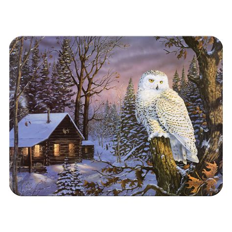 Tempered Glass Cutting Board, 12 by 16 Inches, White Owl - Walmart.com