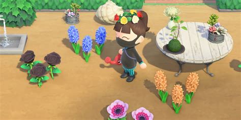 Best Layouts for Growing Hybrid Flowers in Animal Crossing: New Horizons