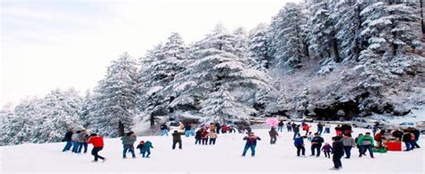 Visit Kufri in Shimla Tour Package