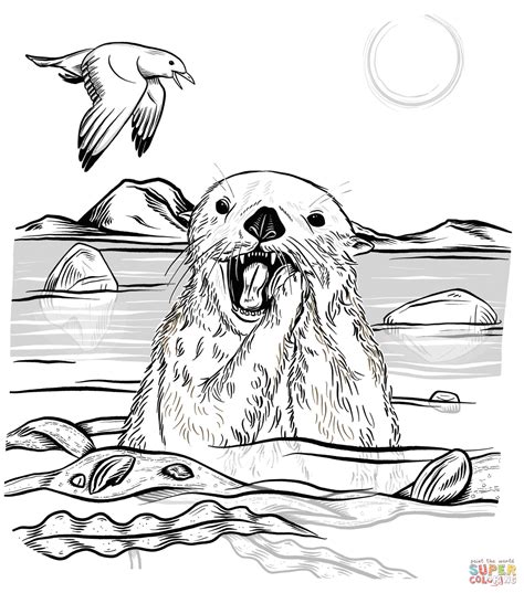 Sea Otter Eating Urchin coloring page | Free Printable Coloring Pages