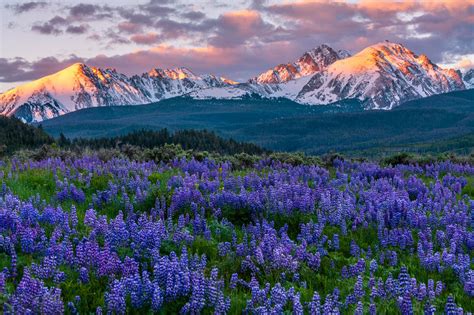 Colorado Landscape & Nature Photography for Sale