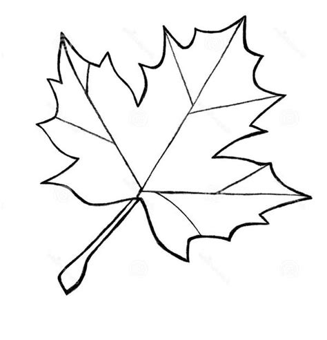 Pin on Maple Leaf Coloring Page