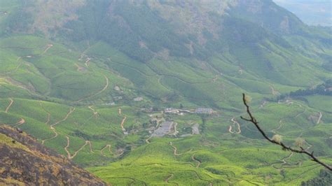 Munnar Trekking-Top 10 Experiences To Unleash Your Adventurous Spirit ...