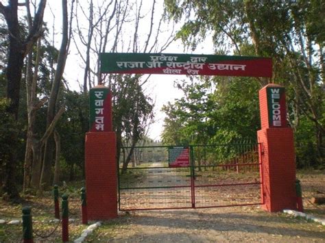 India Thrills : Jungle Safari in Rajaji National Park