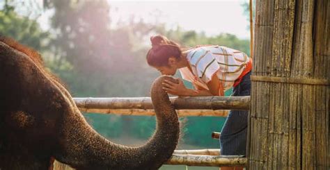 Kanchanaburi: Elephant Sanctuary & Erawan Waterfall Tour | GetYourGuide