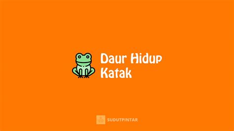 Metamorfosis & Daur Hidup Katak Beserta Gambar Dan Penjelasannya