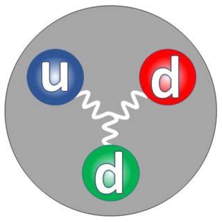 Quark structure of the neutron: u = up-quark, d = down-quark. Neutron ...