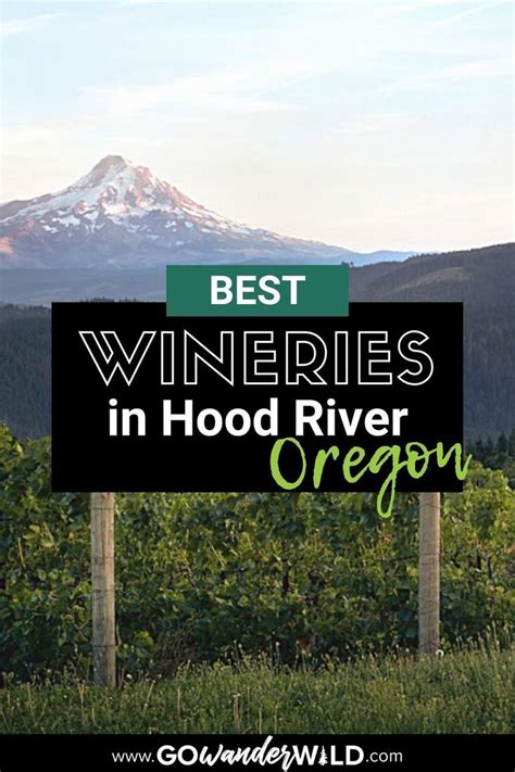 10 BEST HOOD RIVER WINERIES TO VISIT IN NORTHERN OREGON | Go Wander Wild | Hood river wineries ...