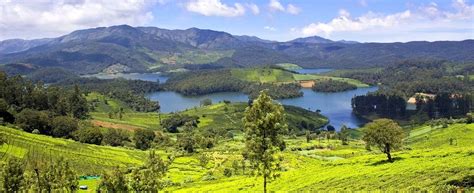 3 Day Trip in Ooty | Ooty - Bandipur - Avalanche Lake