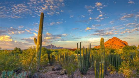 1920x1080 Paisaje, Naturaleza, Desierto, Cactus, Mountain, Arizona Wallpaper HD de Arizona ...