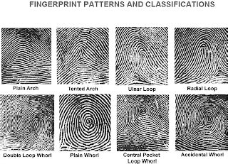 The Secret of Forensics: Fingerprint Patterns