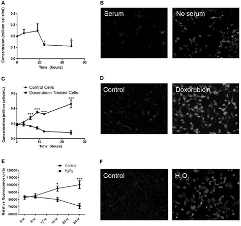 Cell viability and MitoSOX staining in cultured RGC-5 cells in response ...