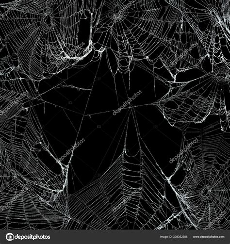 Real spooky spider webs hanging together to make a frame. Hallow Stock Photo by ©SSilver 308392388