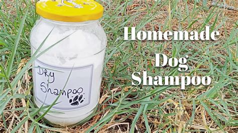 🐶 🛁 DIY Dog Shampoo 🛁 🐶 | How to Make a Natural Dry Dog Shampoo - YouTube