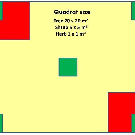 Quadrat for vegetation analysis. | Download Scientific Diagram