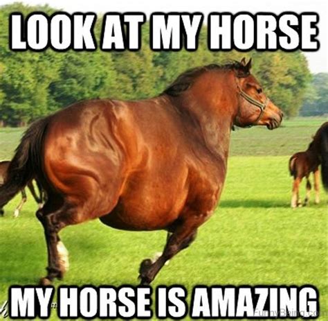 80 Super Funny Horse Memes