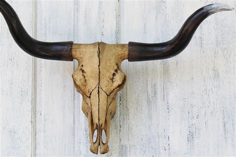 Longhornlonghorn Skullbull Skullliving Room Decorrustic | Etsy